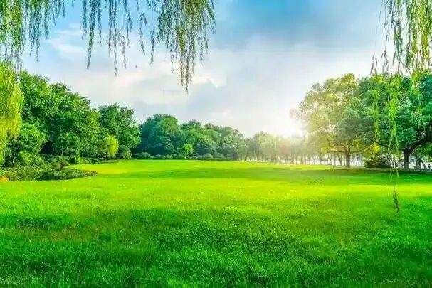 为什么夏季阳气最旺还要养阳？