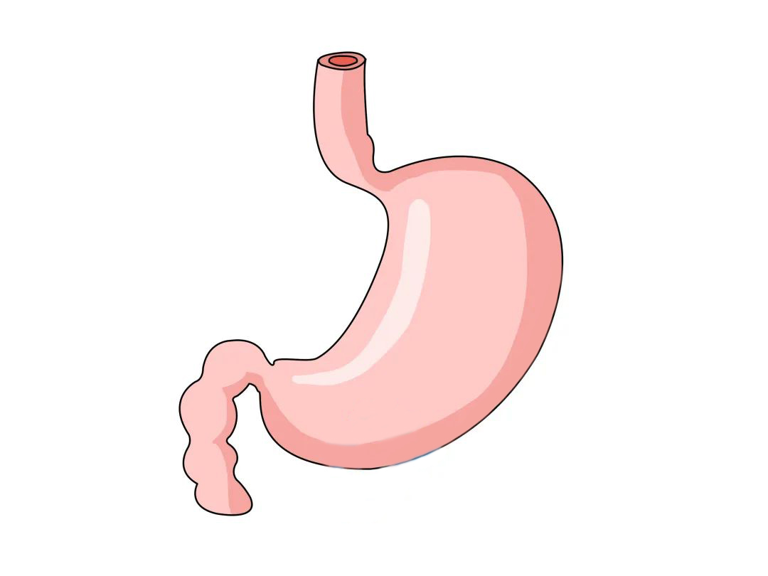 中医脾胃科｜国医精粹护脾胃，从根源改善慢性胃病