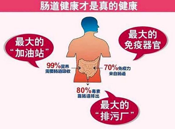 关爱肠道，健康&ldquo;肠&rdquo;寿