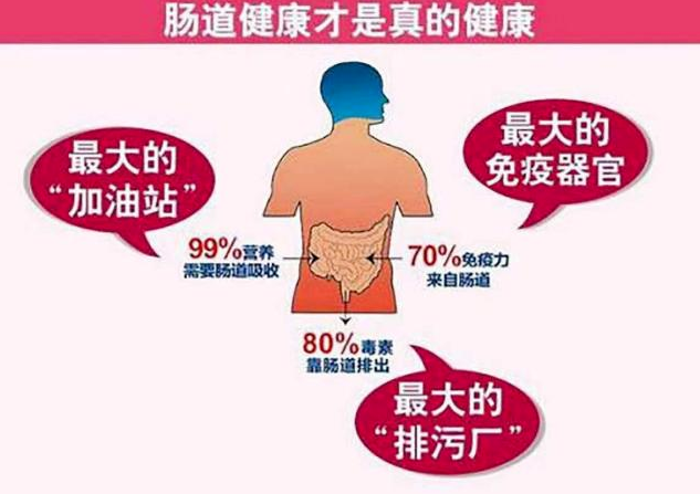 关爱肠道，健康&ldquo;肠&rdquo;寿